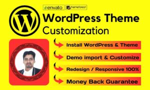 I will do wordpress theme customization and plugin setup