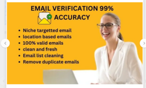 do bulk email verifier in 3 hours