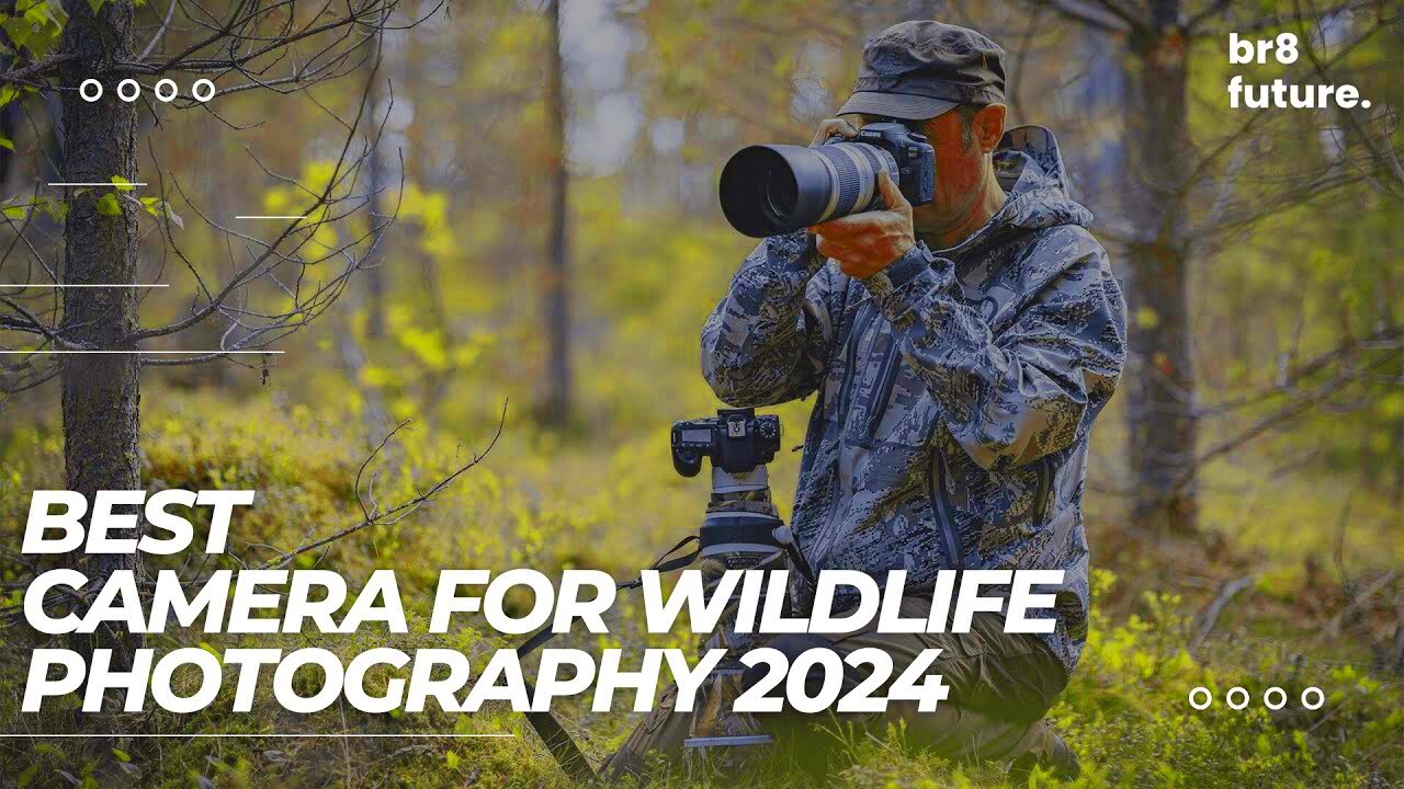 Top 10 Fiverr Gigs for Nature Photography in 2024