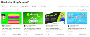 9 Best Shopify Experts 2024  Store Developers  Designers