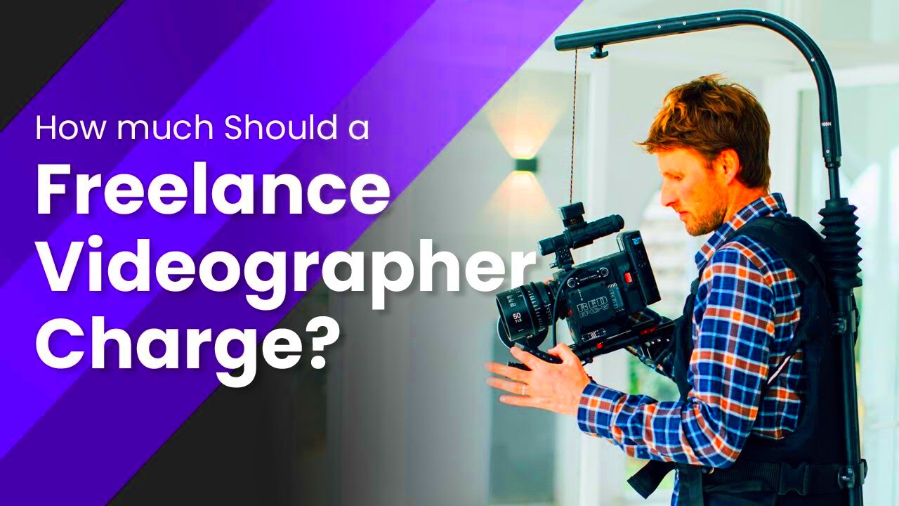 Charges and Earnings of Freelance Videographers