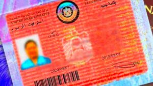 Freelance Visa Dubai Costs Requirement  More