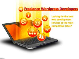 Freelance Wordpress Developers