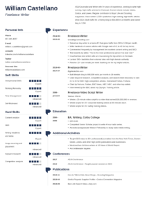 How to Write a Freelancing Resume Examples  Guide