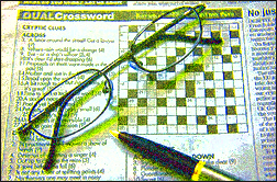 Crossword Puzzle Clue: How Much Freelance Work is Done